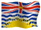 bowenflag